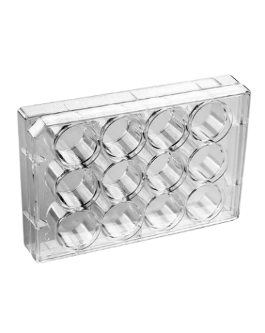 Placa para Cultivo de Células 12 Poços Fundo Chato Kasvi - ForlabExpress