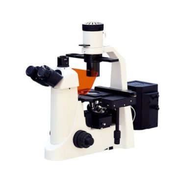 Microscópio Biológico Trinocular Invertido Ótica Infinita com Kit de Fluorescência Lentes Planacromáticas Biofocus
