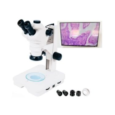 Estereomicroscópio trinocular c/ oculares WF10x e iluminação em LED Biofocus