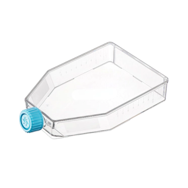 Frasco de cultivo celular 225cm2 tampa vent 5und/pct - Mevalabs