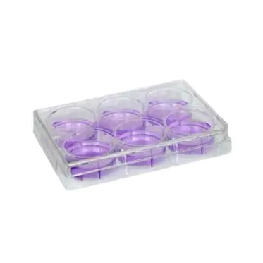 Placa para cultivo de células 6 poços fundo chato Kasvi