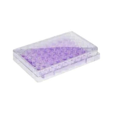 Placa para cultivo de células 48 poços fundo chato Kasvi