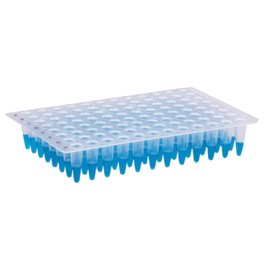 Microplaca de PCR sem borda 96 poços 25und/pct Kasvi