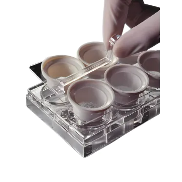 Kit de transporte Netwell™ Corning