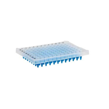 Microplaca de PCR meia borda 96 poços 25und/pct Kasvi