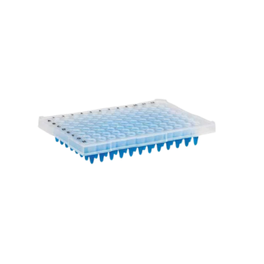 Microplaca de PCR 200 uL meia borda 96 poços 25 und/pct Kasvi