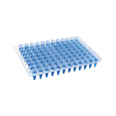 Microplaca de PCR sem borda com poços elevados 10und/pct Kasvi