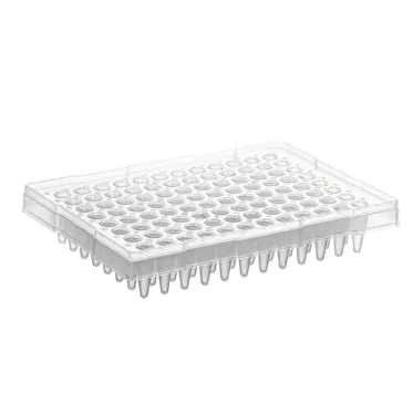 Microplaca para qPCR 0,2mL meia borda elevada livre de Dnase/Rnase 96 poços 10und/pct Mevalabs