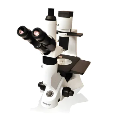 Microscópio Biológico Trinocular Invertido Ótica Infinita Lentes Planacromáticas Biofocus