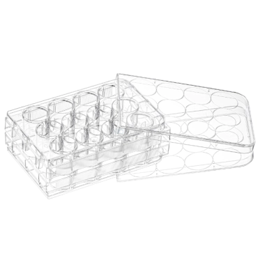 Placa para cultivo celular 12 poços fundo chato Mevalabs