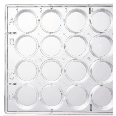 Placa para cultivo celular 24 poços fundo chato Mevalabs