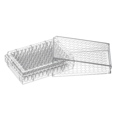 Microplaca para cultivo celular 96 poços fundo U superfície tratada 100 un/pct Mevalabs