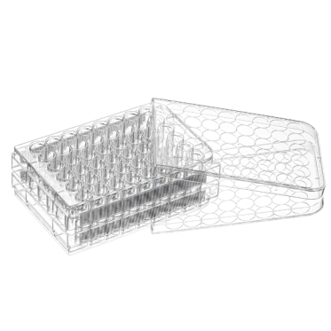 Placas para Cultivo Celular Fundo Chato (Tratadas TC / Est&eacute;reis) Mevalabs
