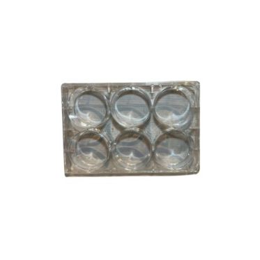 Placa para Cultivo de Células 6 poços Fundo Chato Kasvi - ForlabExpress