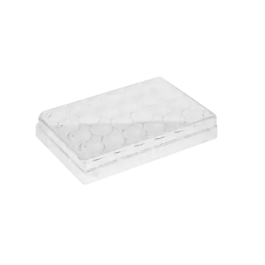 Microplaca p/ cultivo celular (com tampa) 24 poços fundo plano 50und/cx Costar® Corning