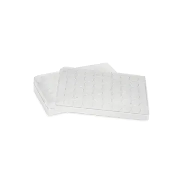 Microplaca para cultivo celular 24 poços fundo plano BioNaky