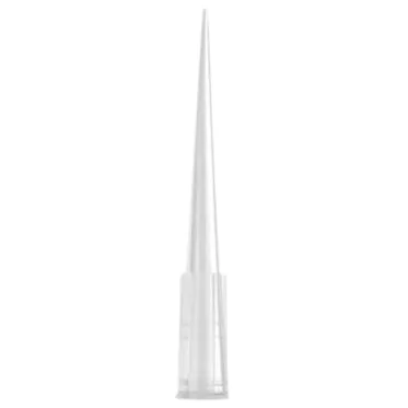 Ponteira sem filtro 1000und/pct Axygen