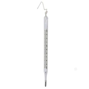 Termômetro Veterinário Escala Interna 35+43:0,1 Hg Incoterm