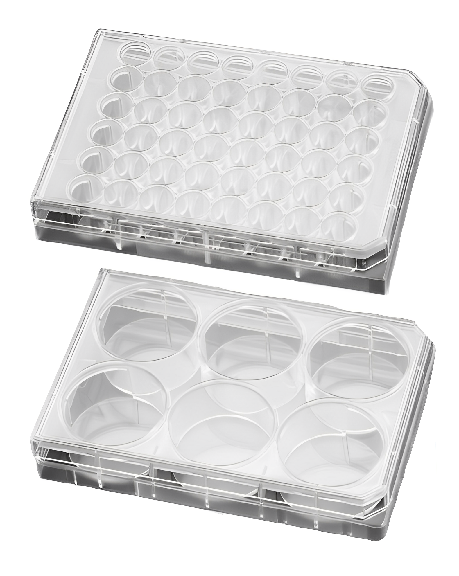 たここら Adaptive Plating CF FaB placa-para-cultivo-celular-